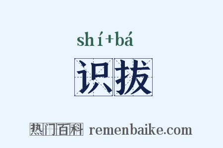 识拔是什么意思的图片